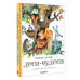 Леса-чудеса. Рисунки В. Пивоварова.