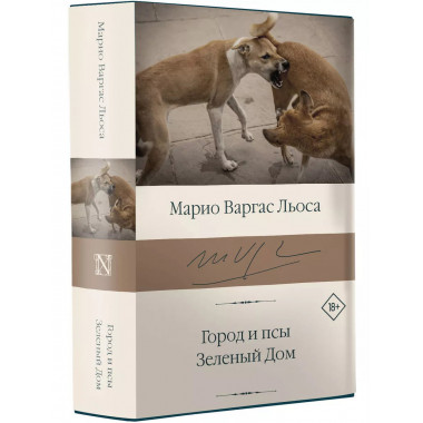 Город и псы. Зеленый Дом.