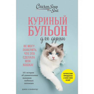 Куриный бульон для души.