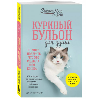Куриный бульон для души.