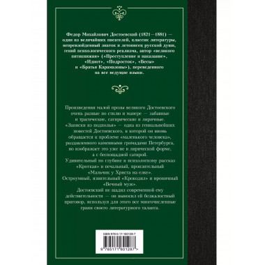 Записки из подполья.