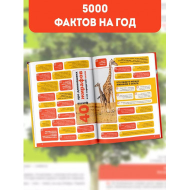 5000 удивительных фактов, которые можно изучать целый год.