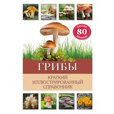 Грибы. Краткий иллюстрированный справочник.