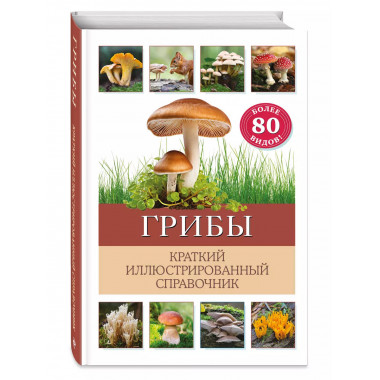 Грибы. Краткий иллюстрированный справочник.