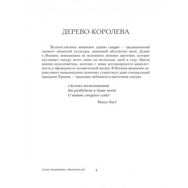 Японский сад.