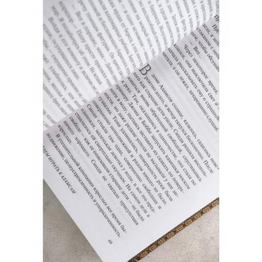 Пойдем играть к Адамсам.