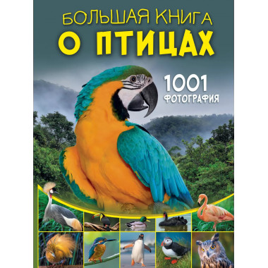 Большая книга о птицах. 1001 фотография.