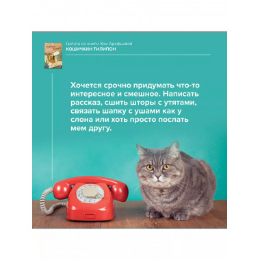 Кошичкин тилипон. Правдиви истори о котиках и их никчемни.