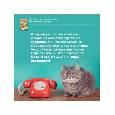 Кошичкин тилипон. Правдиви истори о котиках и их никчемни.