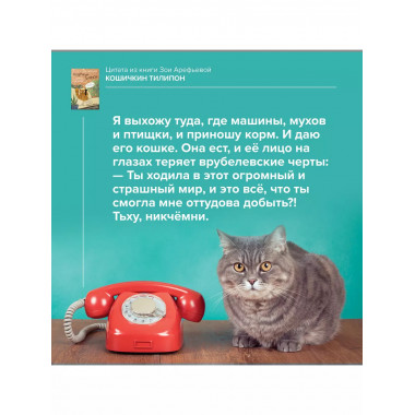 Кошичкин тилипон. Правдиви истори о котиках и их никчемни.
