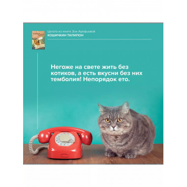 Кошичкин тилипон. Правдиви истори о котиках и их никчемни.