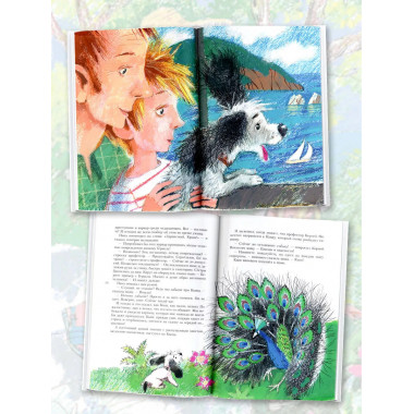 Кыш и я в Крыму.