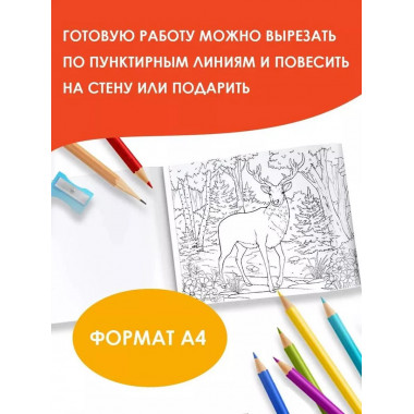 Мир вокруг.