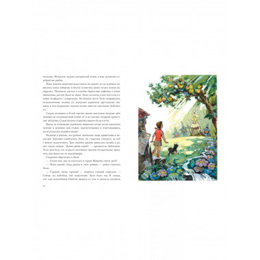 Волшебник Изумрудного города. Рисунки Л. Владимирского.