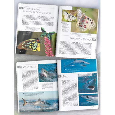 Большая красная книга. 1001 фотография.