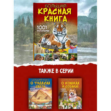 Большая красная книга. 1001 фотография.