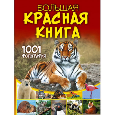 Большая красная книга. 1001 фотография.