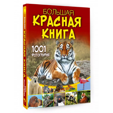 Большая красная книга. 1001 фотография.