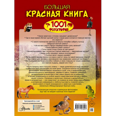Большая красная книга. 1001 фотография.