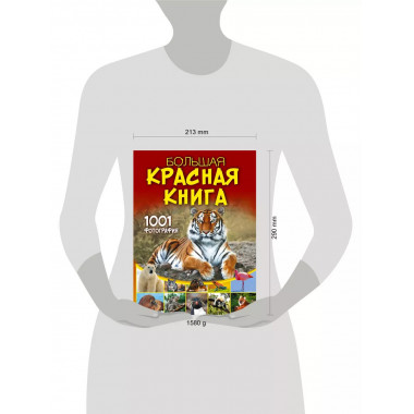 Большая красная книга. 1001 фотография.