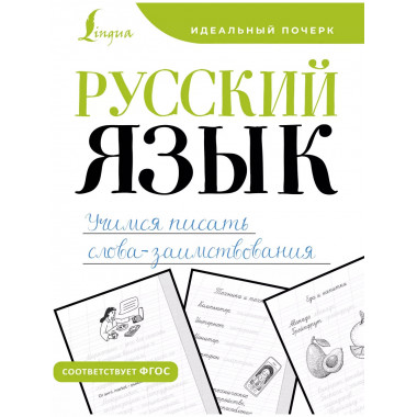Русский язык. Учимся писать слова-заимствования.