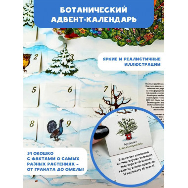 Адвент-календарь. Новогодняя ботаника