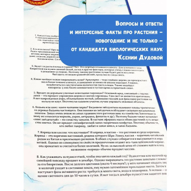 Адвент-календарь. Новогодняя ботаника