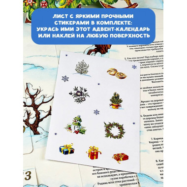 Адвент-календарь. Новогодняя ботаника