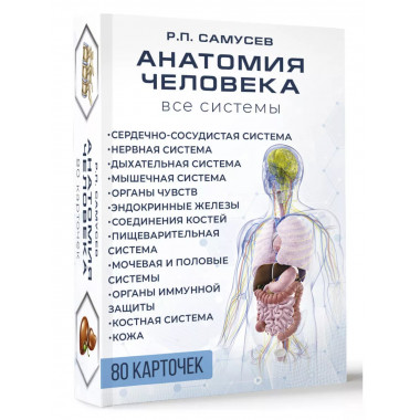 Анатомия человека. 80 карточек. Все системы.