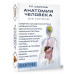 Анатомия человека. 80 карточек. Все системы.