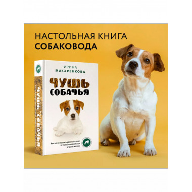 Чушь собачья. Как не испортить удовольствие от появления соб
