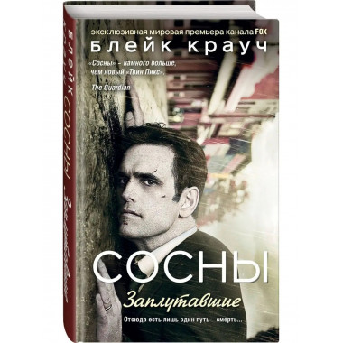 Сосны. Заплутавшие.