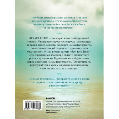 The power of now. Cила настоящего. Journal.