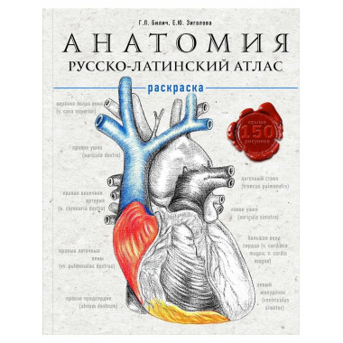 Анатомия: русско-латинский атлас-раскраска.