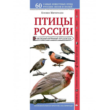 Птицы России. Наглядный карманный определитель.