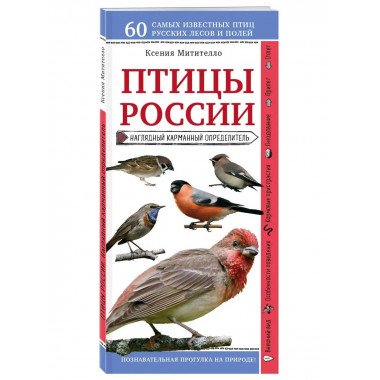 Птицы России. Наглядный карманный определитель.