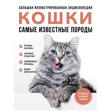 Самые известные породы. КОШКИ.