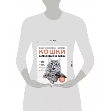 Самые известные породы. КОШКИ.