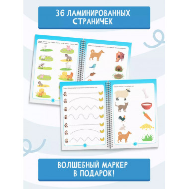 Пиши-стирай 2-4 года.