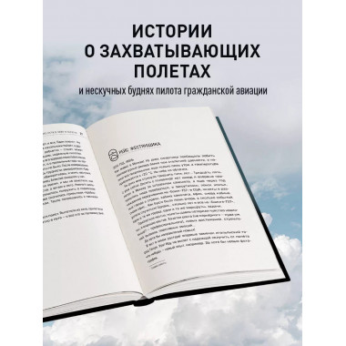 Офисный пилот.
