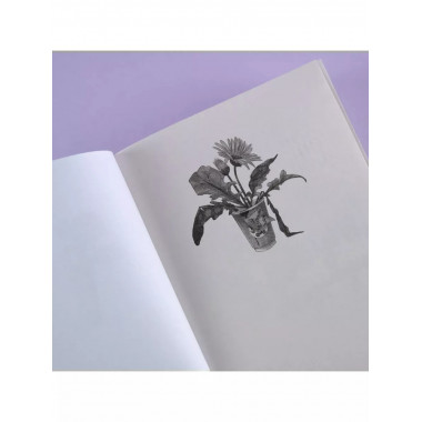 И солнце взойдет. Возрождение.