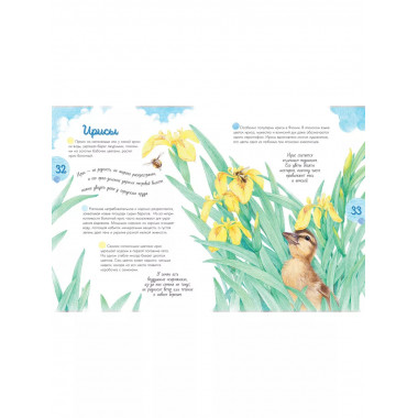 Жизнь пруда.