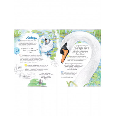 Жизнь пруда.