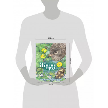 Жизнь пруда.