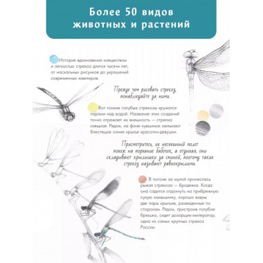 Жизнь пруда.