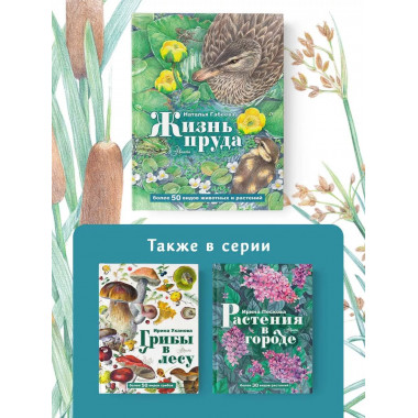 Жизнь пруда.