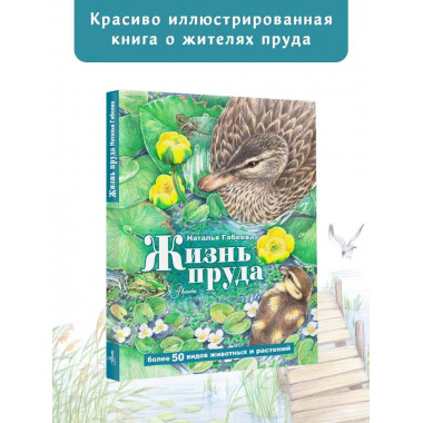 Жизнь пруда.