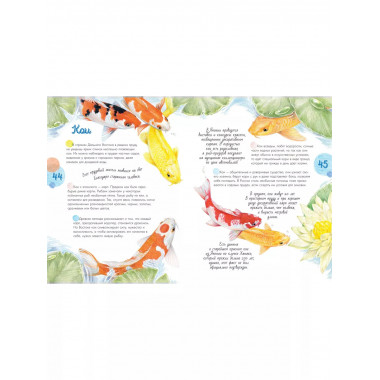 Жизнь пруда.