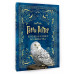 Гарри Поттер. Большая книга волшебства.