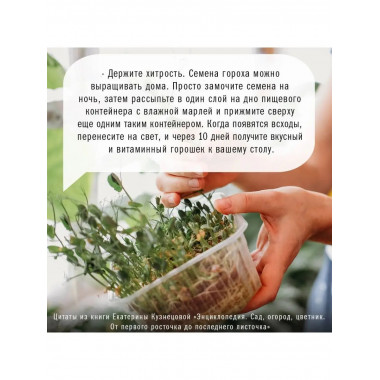 Сад, огород, цветник. От первого росточка до последнего лист